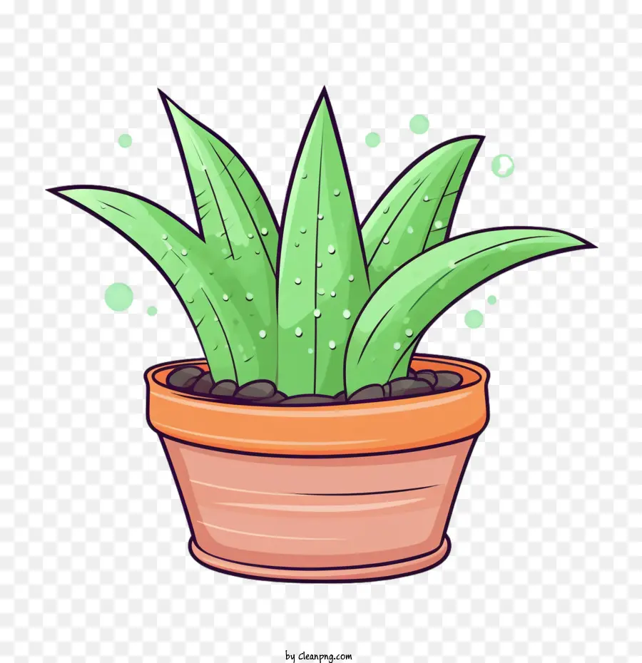 Áloe Vera，Planta En Maceta PNG