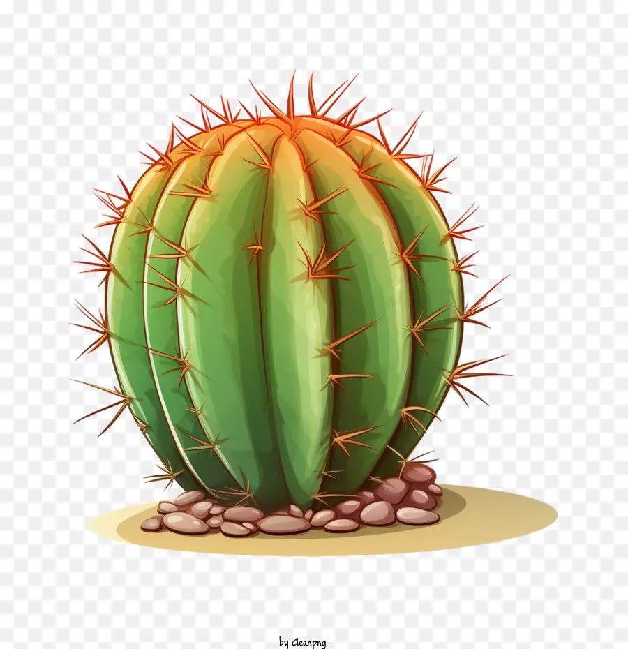 Cactus Suculentos，Cacto Verde PNG