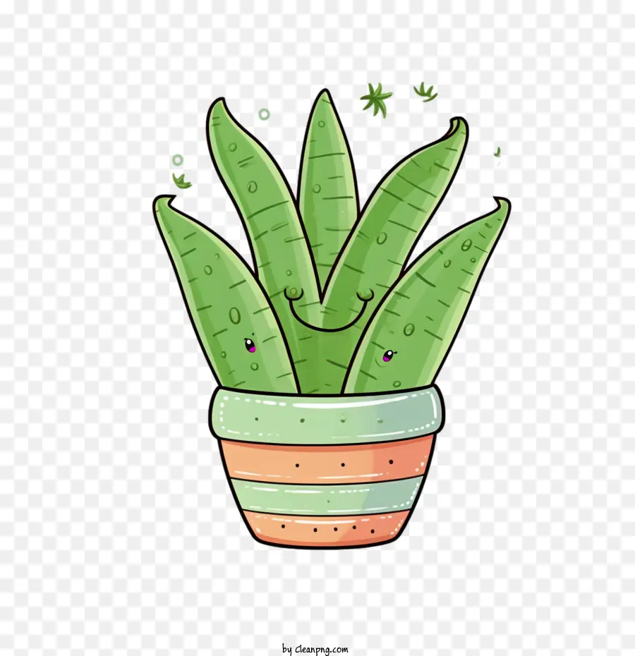 Aloe Vera，Patata PNG