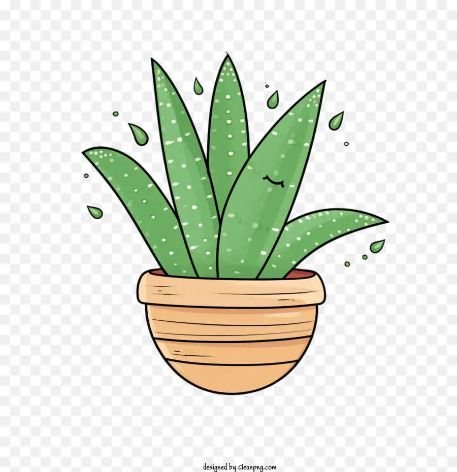 Aloe Vera，Planta PNG