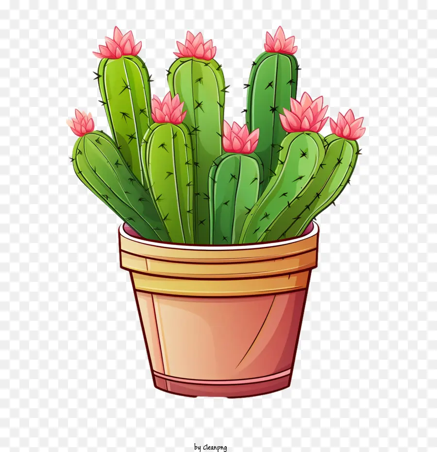 Suculentas，Cactus PNG