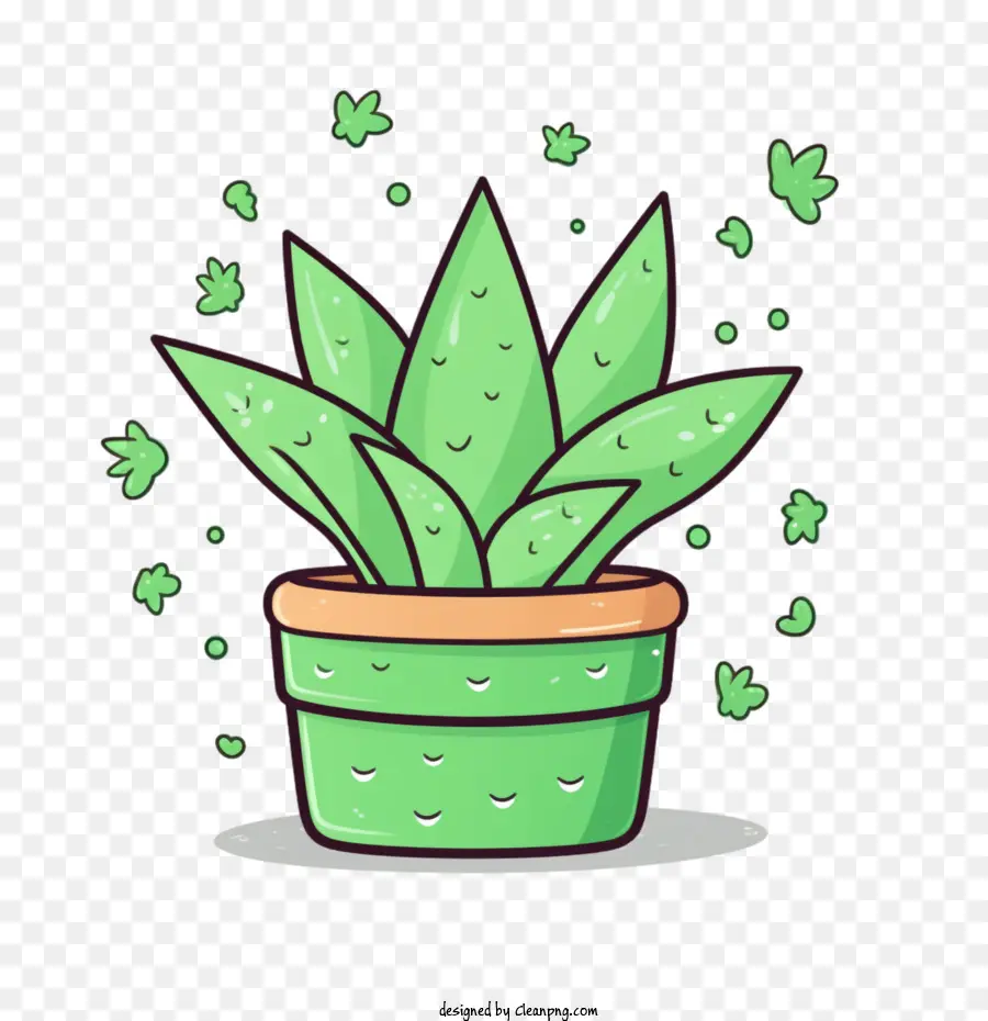 Áloe Vera，Planta En Maceta PNG