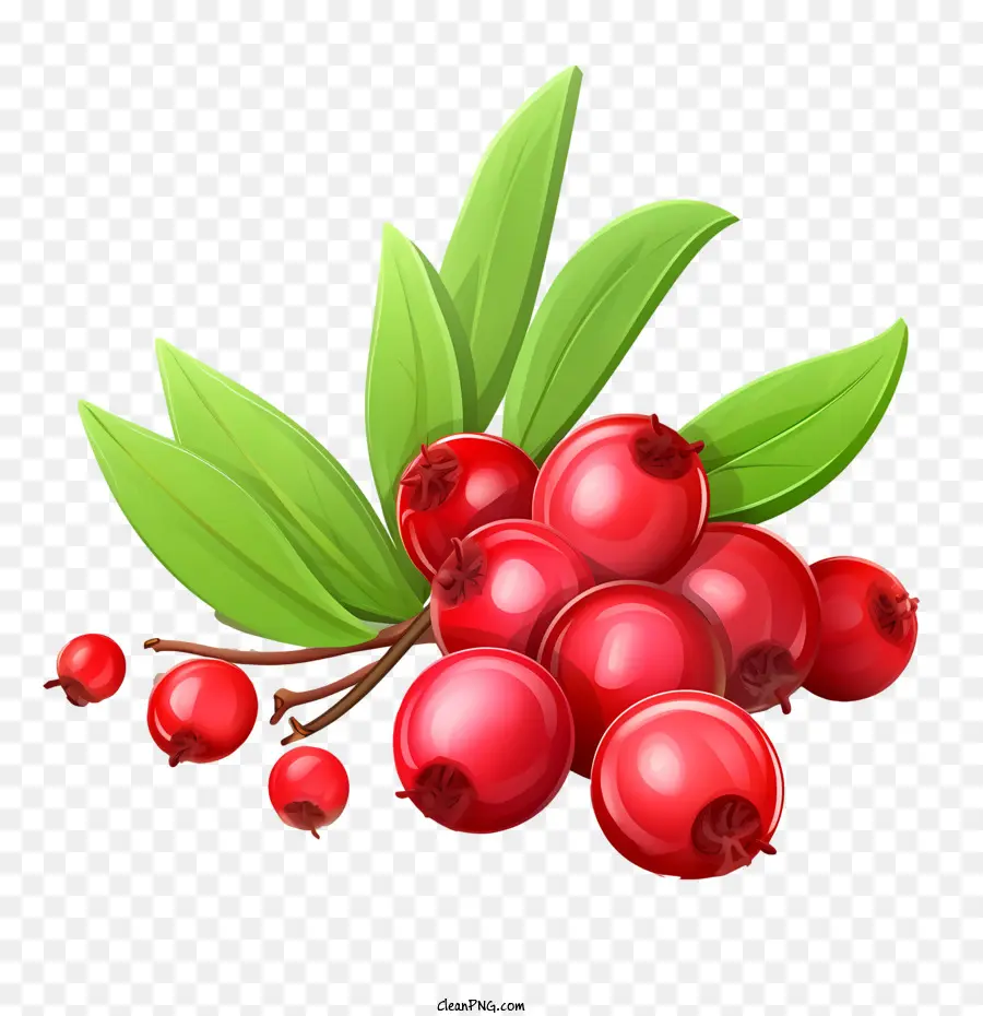 Arándanos Rojos，Frutos Rojos PNG