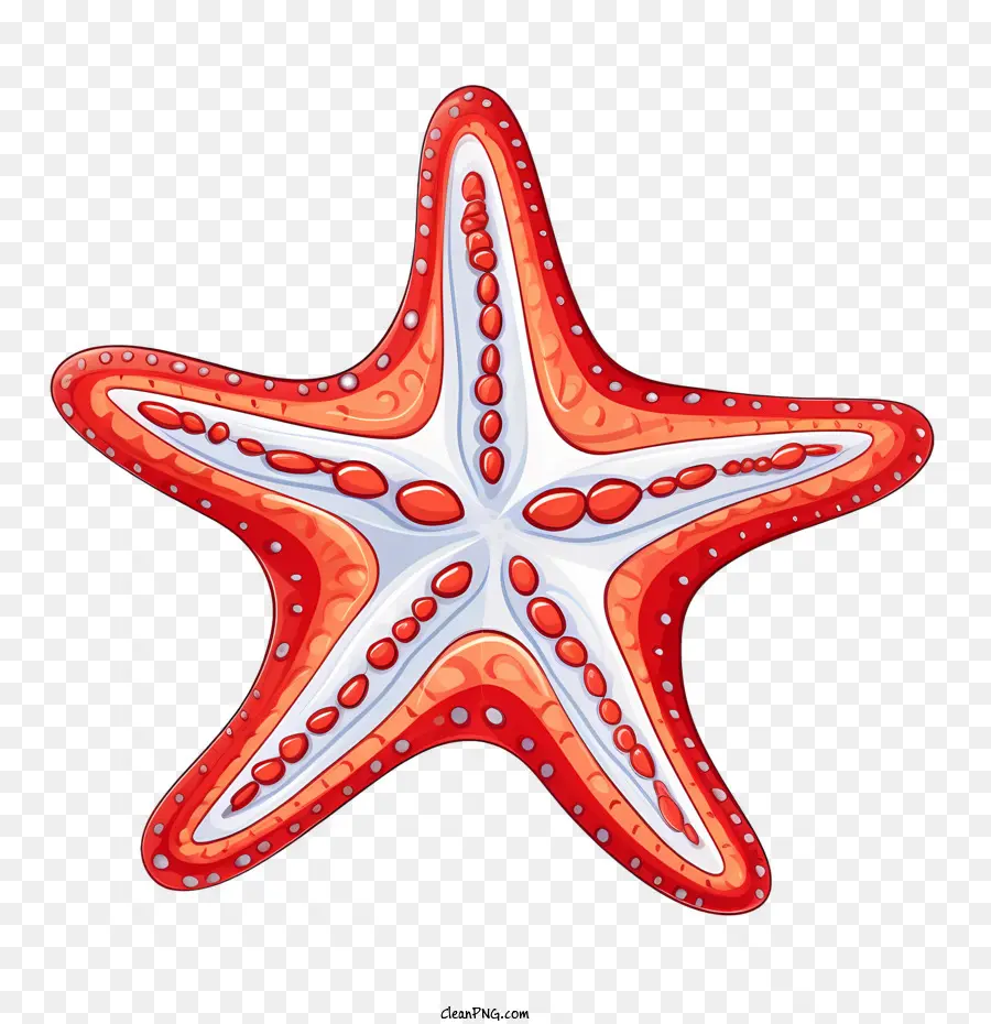 Estrella De Mar，Criatura De Mar PNG