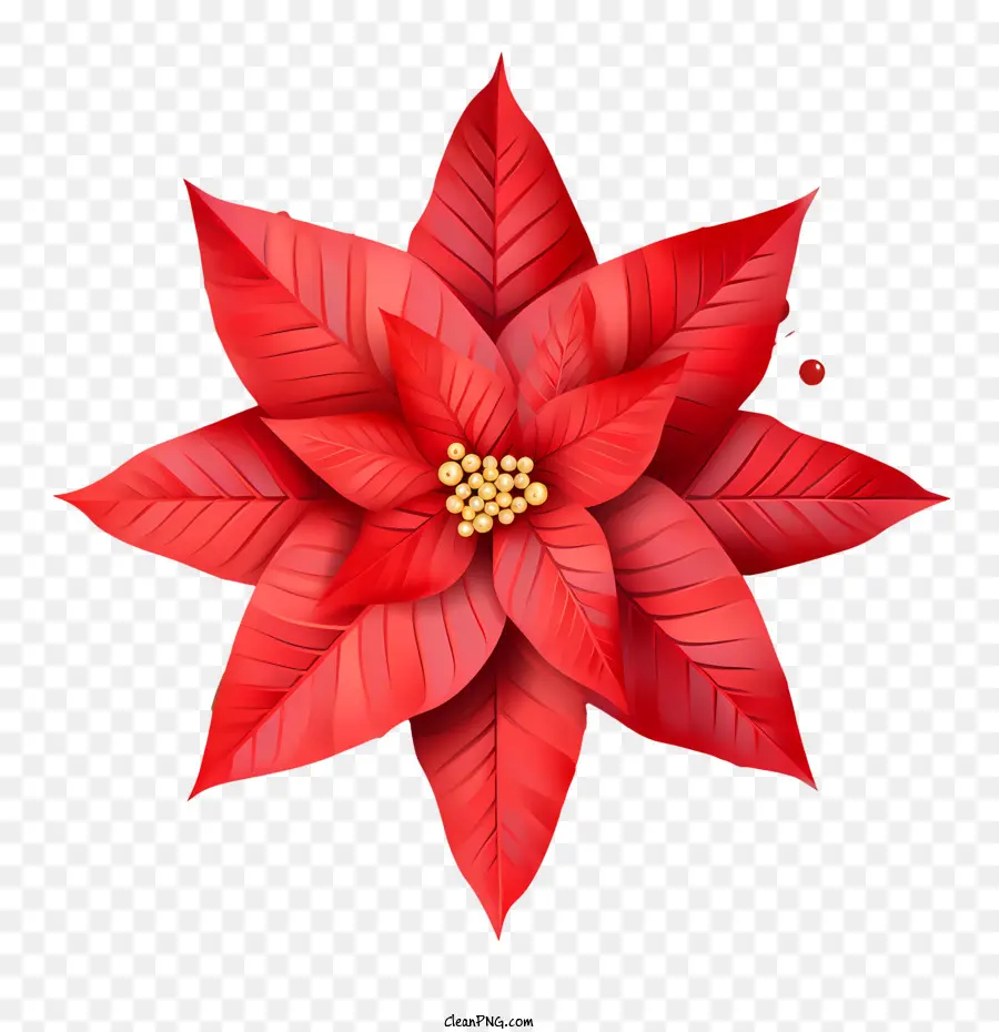 Flor De Pascua，Rojo PNG