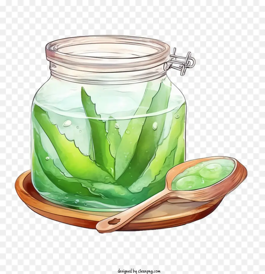 Aloe Vera，Limón PNG