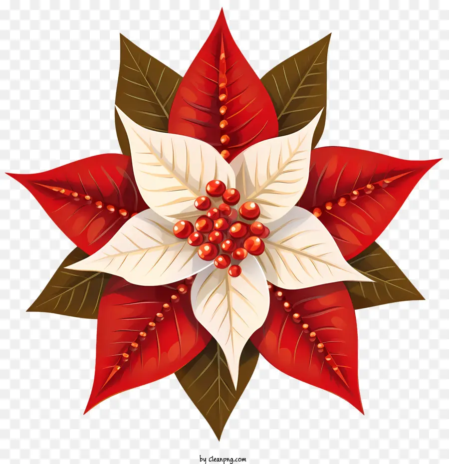 Flor De Pascua，Nochebuena Roja PNG