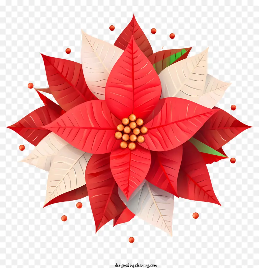 La Flor De Pascua，Rojo PNG