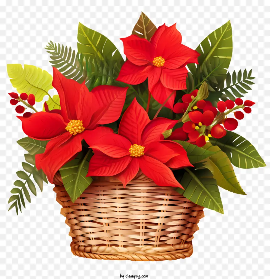 La Flor De Pascua，Acebo PNG