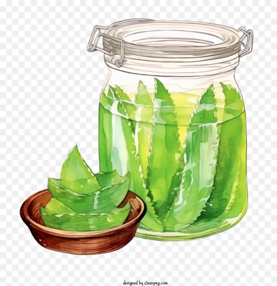 Áloe Vera，Aloe Vera En Tarro PNG