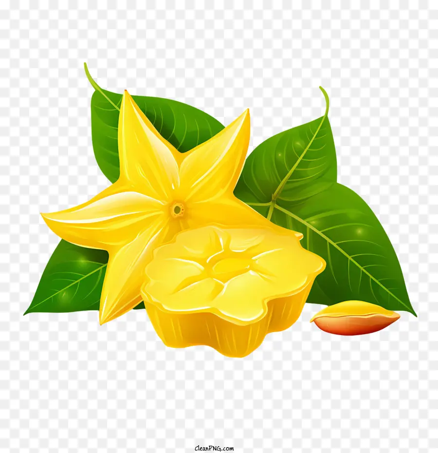 La Carambola，Flor Amarilla PNG