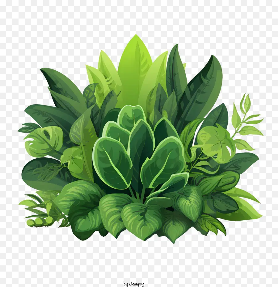 Planta Verde，Hojas Verdes PNG