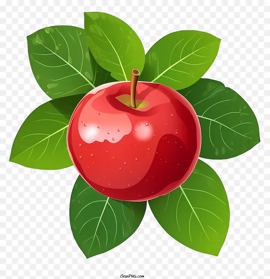 Comer Una Manzana Roja Día，Apple PNG