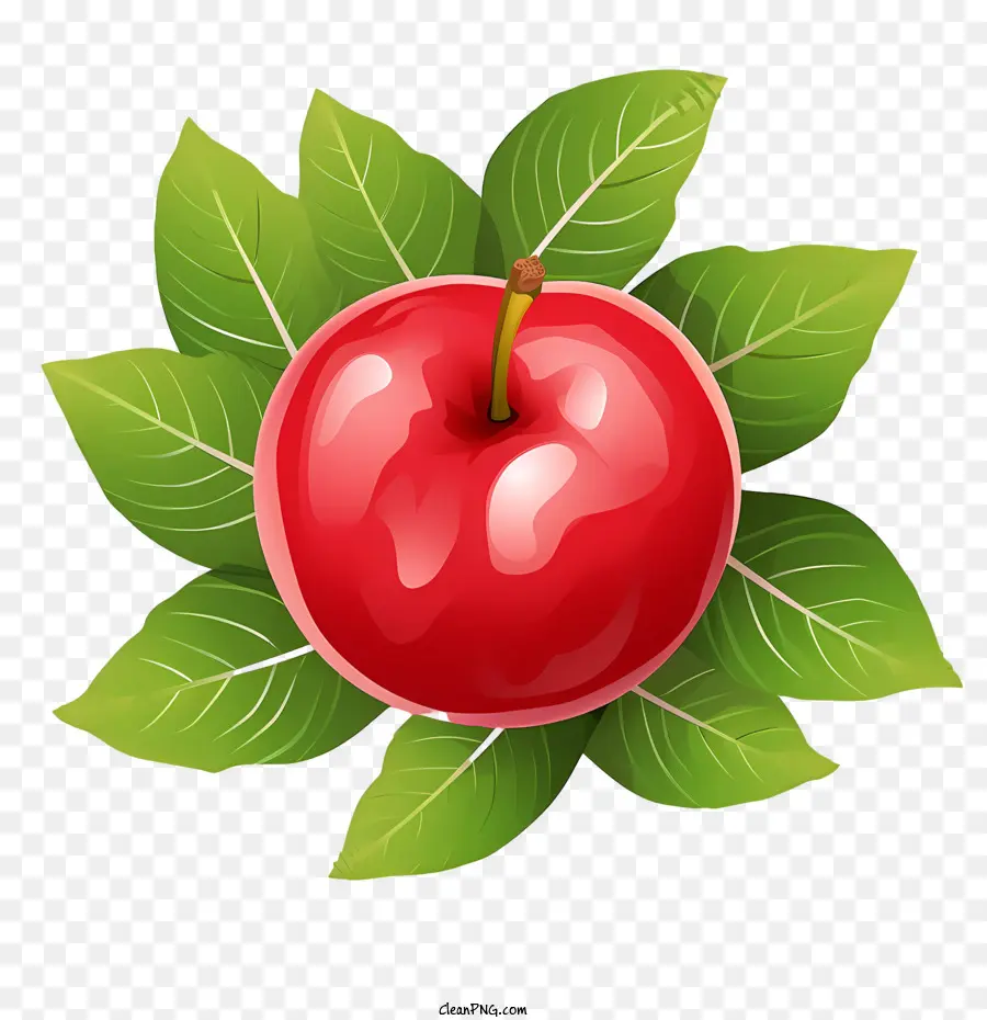 Comer Una Manzana Roja Día，Manzana Roja PNG