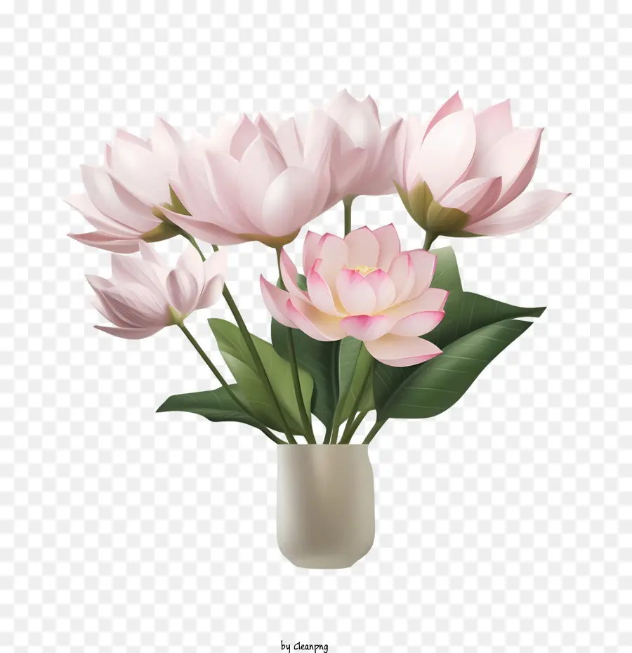 Lotus，Flores PNG