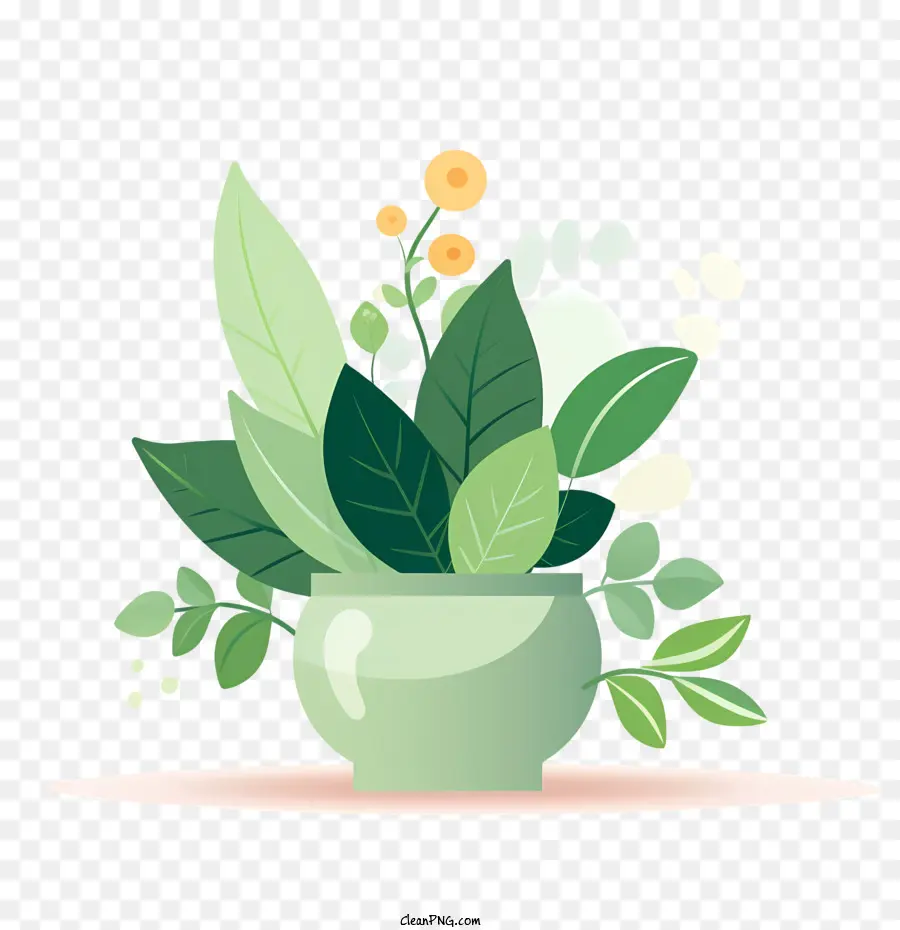 Maceta，Planta En Maceta PNG