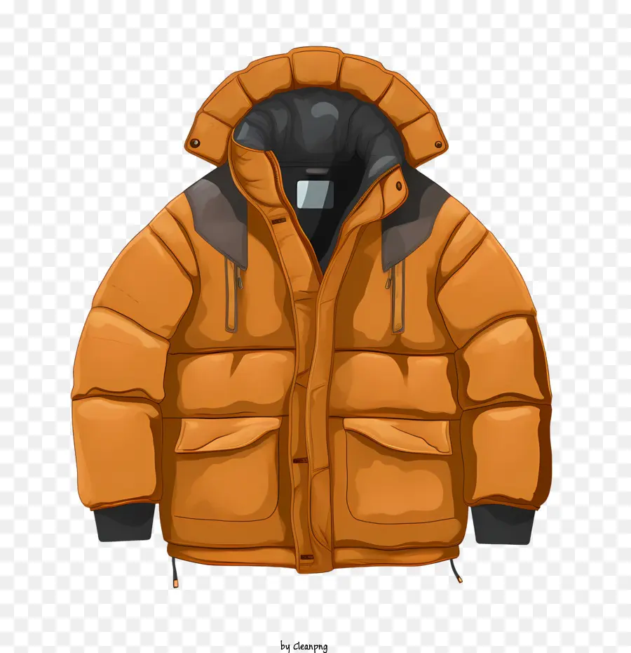 Abrigo De Invierno，Abajo Chaqueta PNG