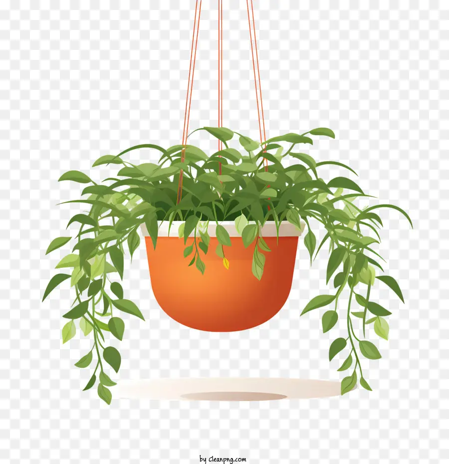 Planta Colgante Con Maceta，Colgando De La Planta PNG