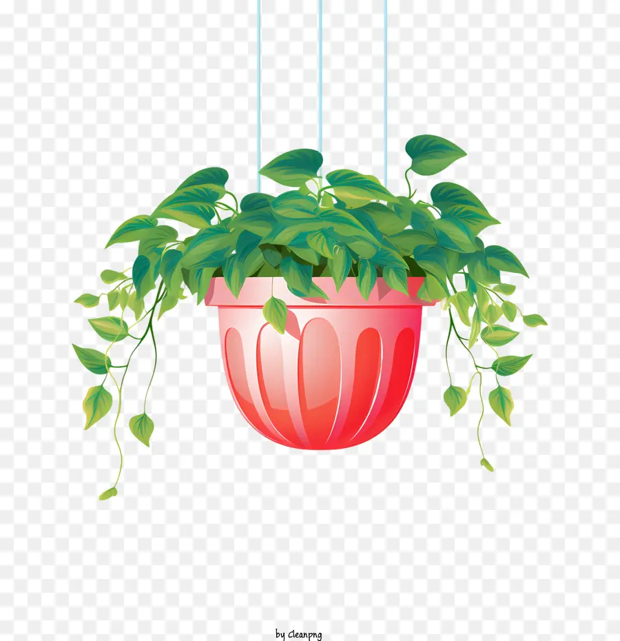 Planta Colgante Con Maceta，Planta Colgante PNG