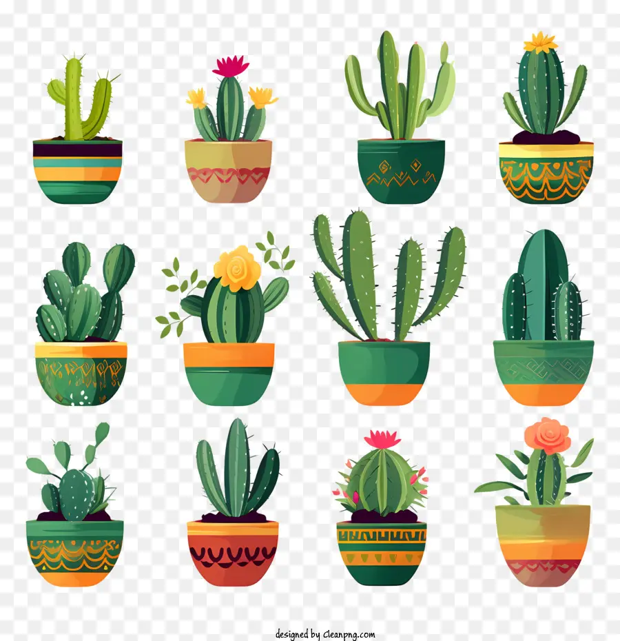 Cactus，Suculentas Verdes PNG