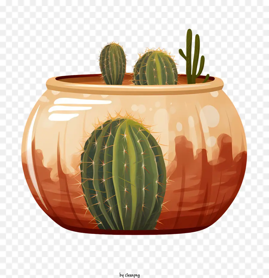 Cactus，Cactus En Maceta PNG