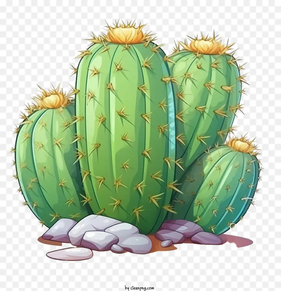 Suculentas，Cactus PNG