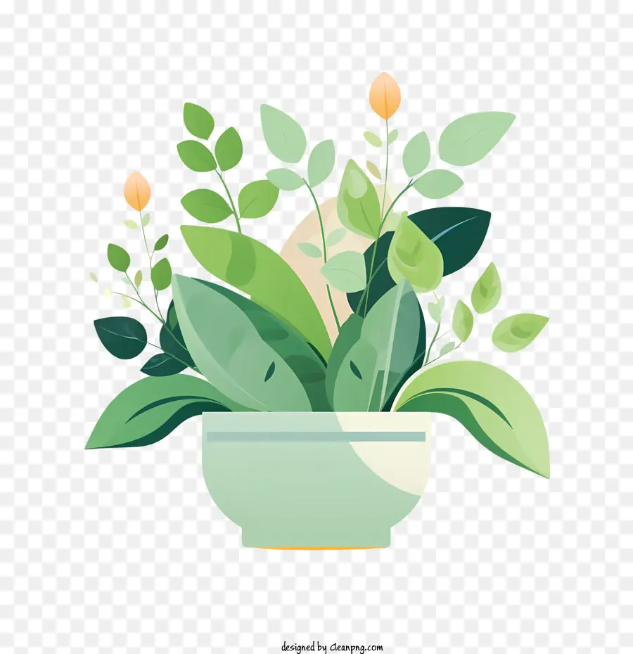 Maceta，Plantas En Macetas PNG