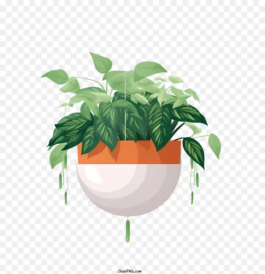 Planta Colgante Con Maceta，Planta En Maceta PNG