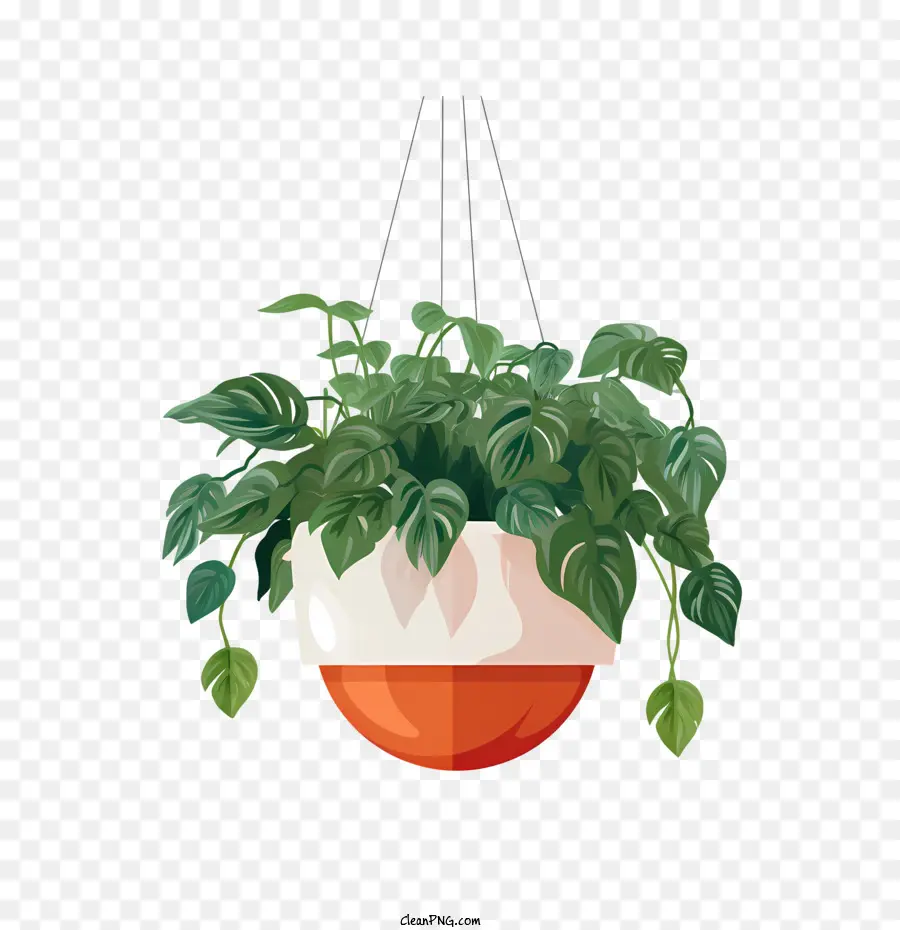 Planta Colgante Con Maceta，Planta PNG