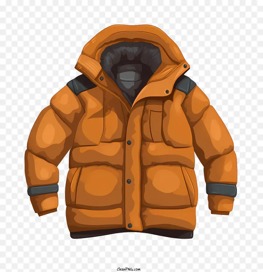 Abrigo De Invierno，Chaqueta PNG