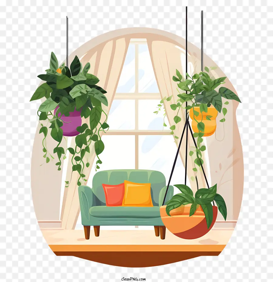 Planta Colgante Con Maceta，Plantas Colgantes PNG