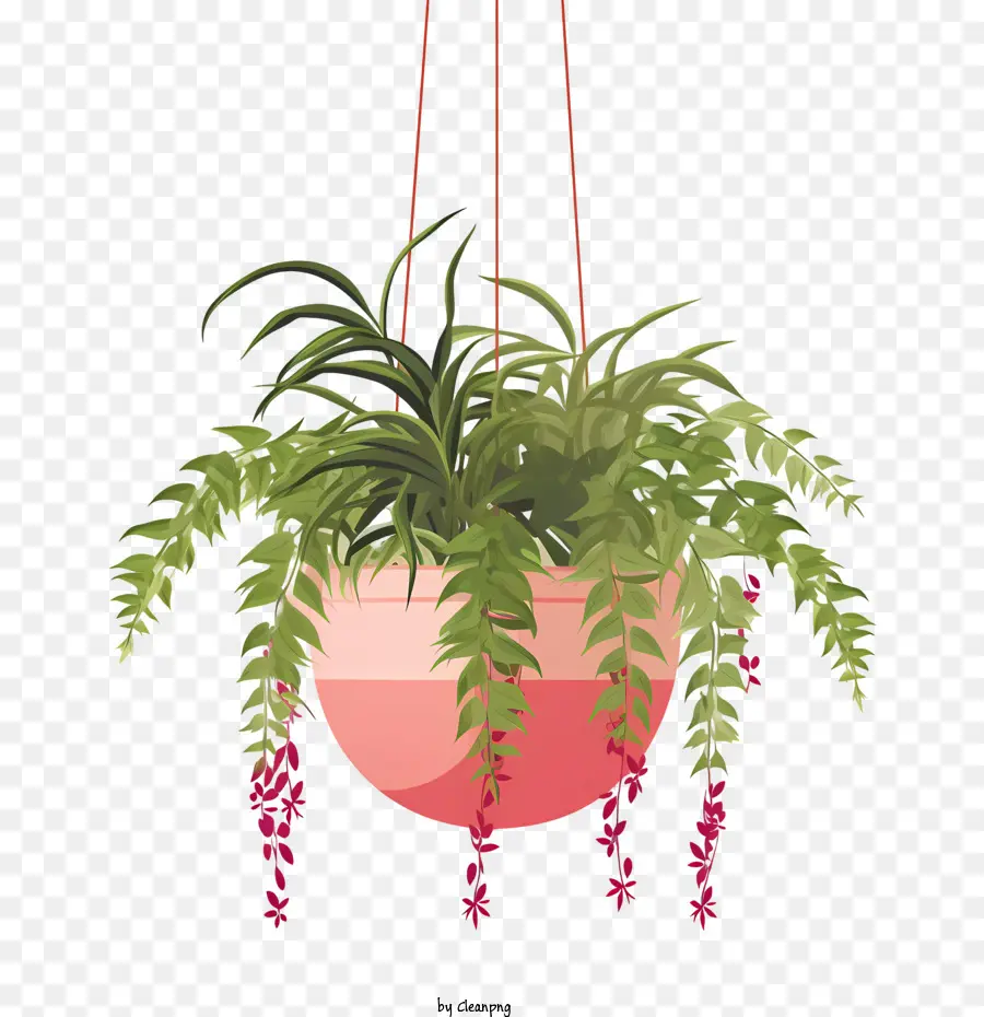 Planta Colgante Con Maceta，Planta Colgante PNG