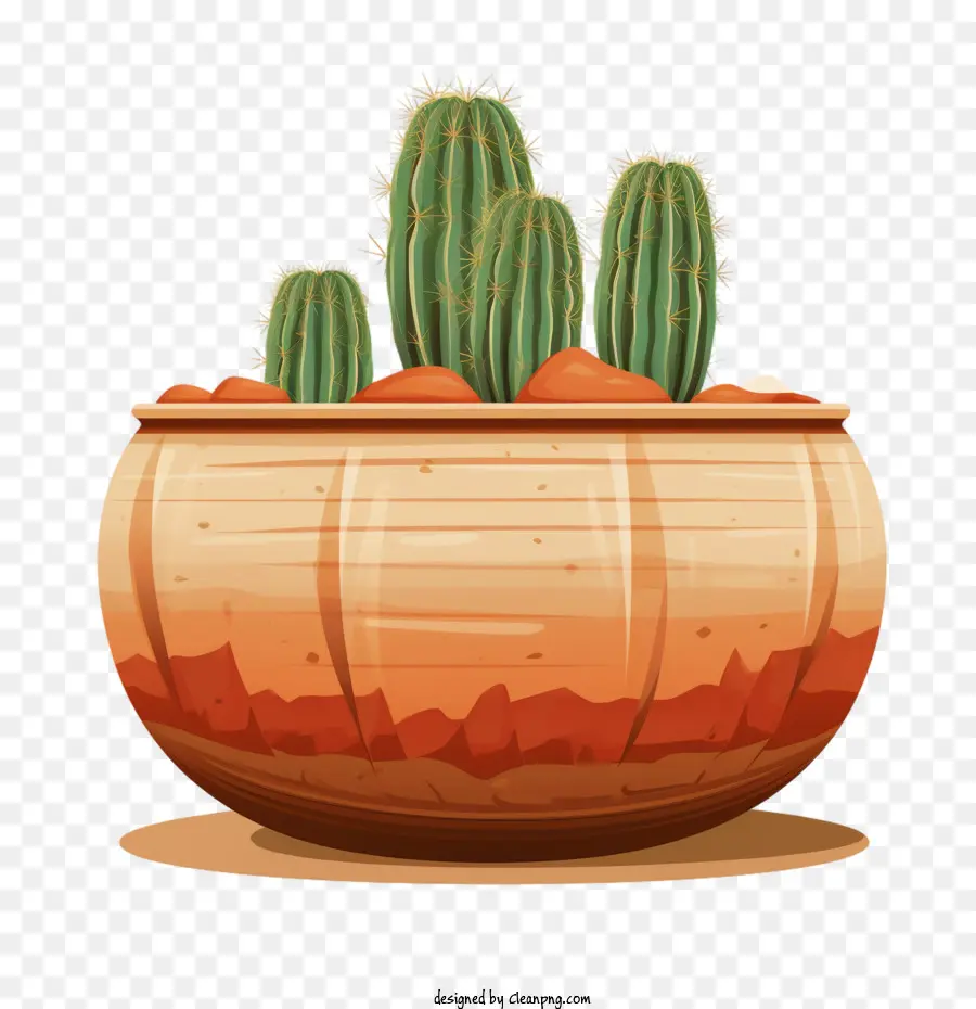 Suculentas，Cactus PNG