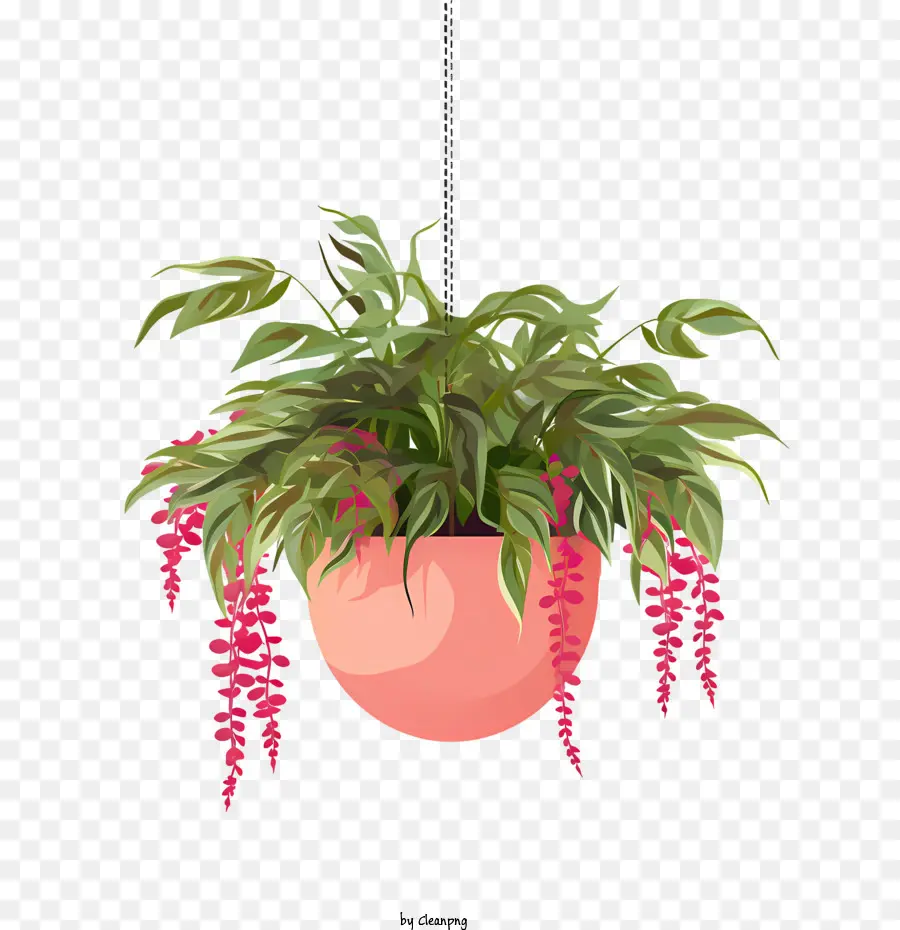 Planta Colgante Con Maceta，Planta En Maceta PNG