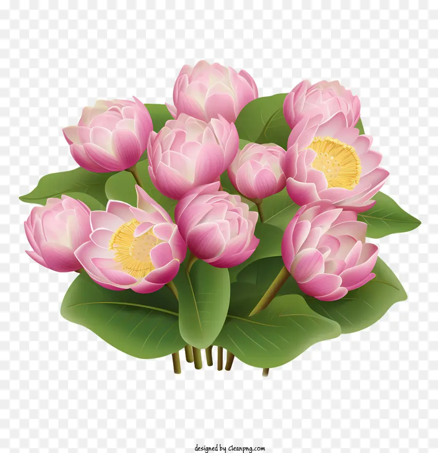 Flor De Loto，Loto Rosa PNG