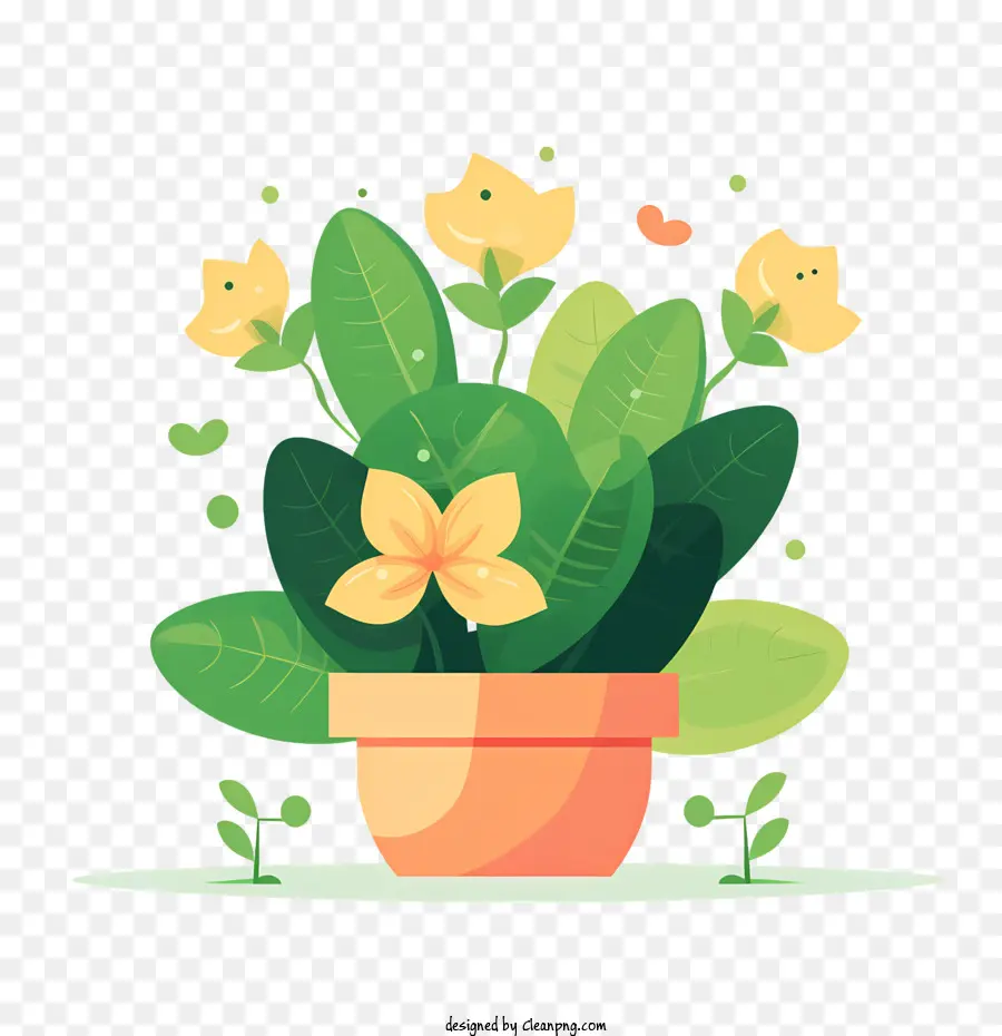 Maceta，Planta En Maceta PNG