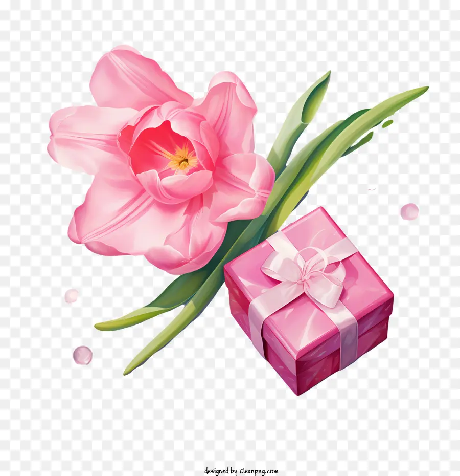 Caja De Regalo Rosa，Caja De Regalo PNG