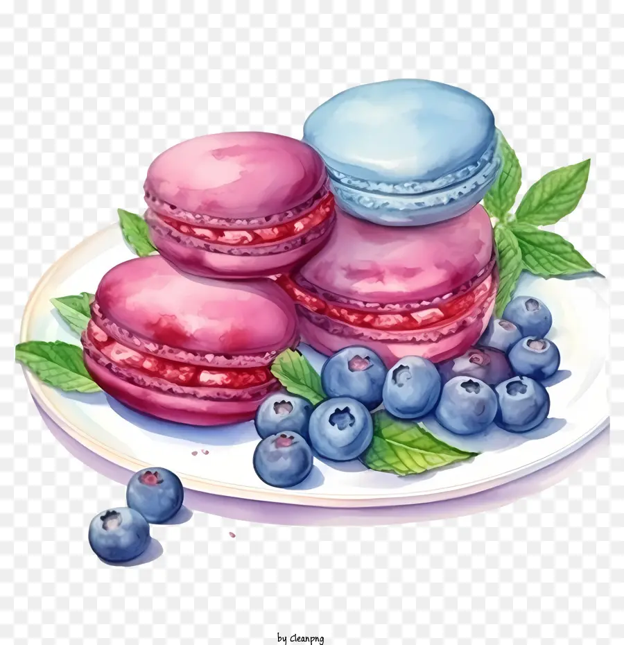 Día Del Macarrón，Macarrones PNG