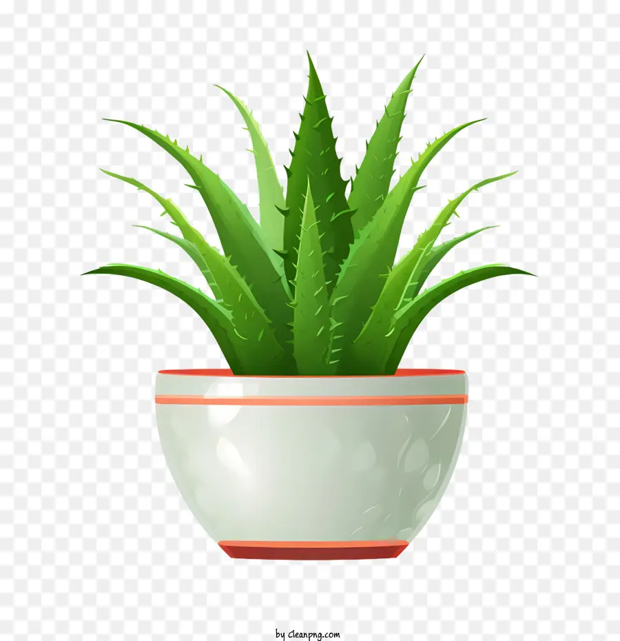 Aloe Vera，Planta PNG