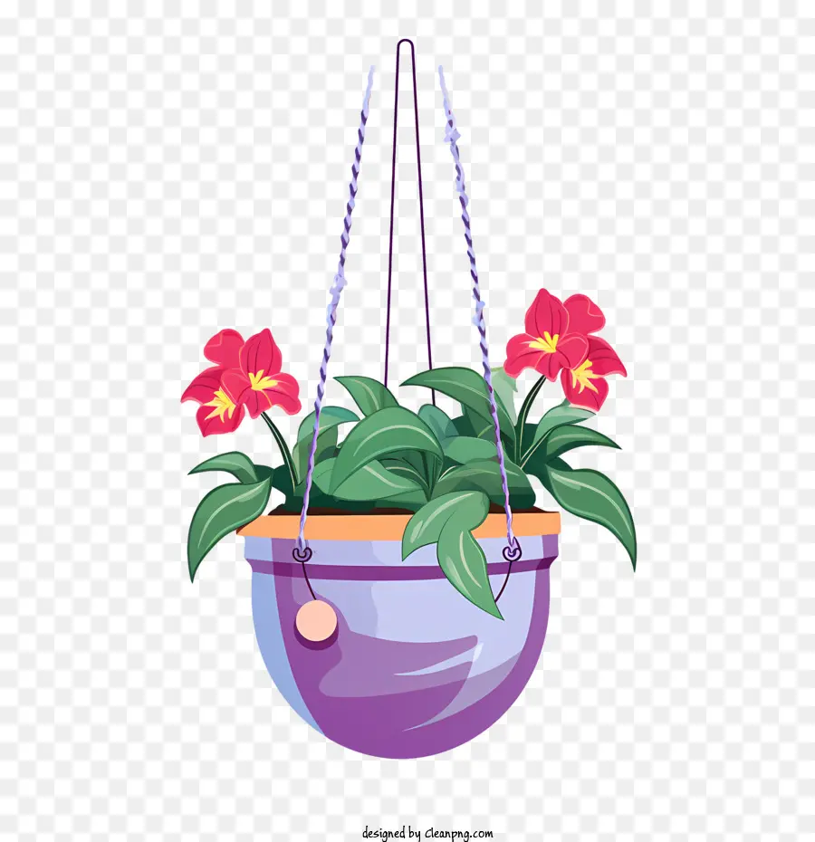 Planta Colgante Con Maceta，Bote PNG