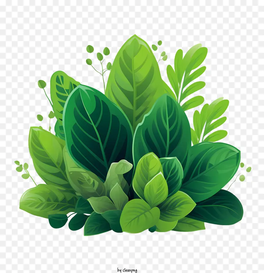 Planta Verde，Hojas Verdes PNG