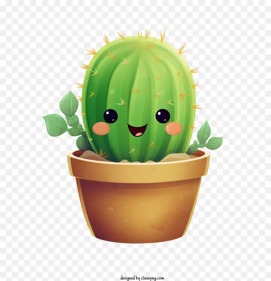 Cactus Suculentos，Cactus PNG