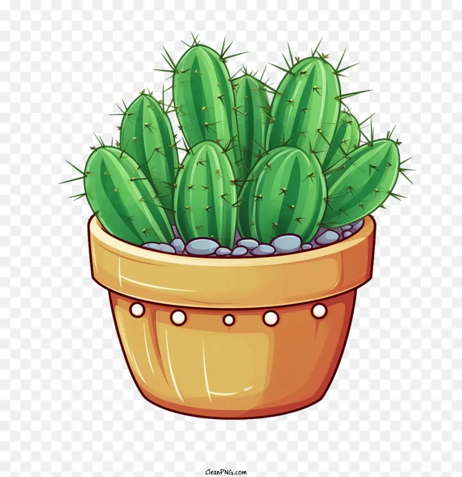 Cactus Suculento，Cactus PNG