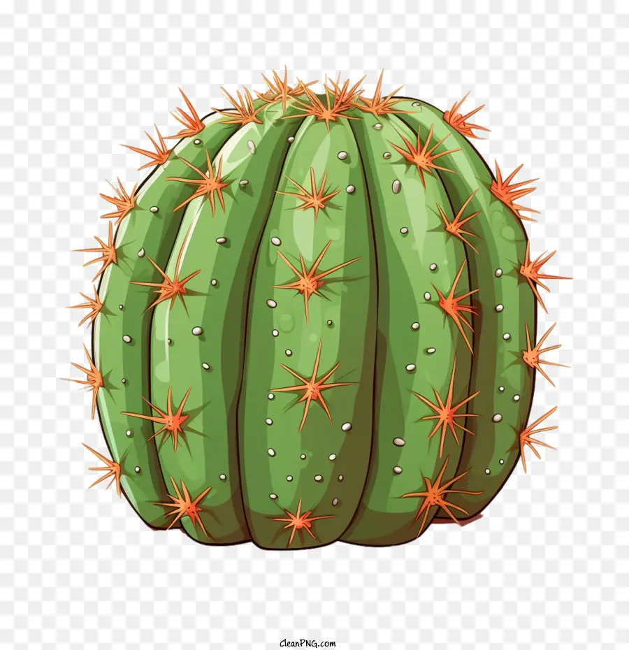 Cactus Suculento，Cactus PNG