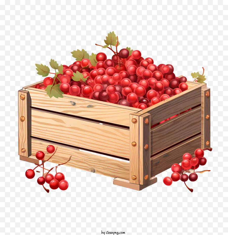 Cranberries，Frambuesas PNG