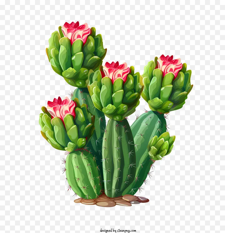 Cactus，Las Chumberas PNG