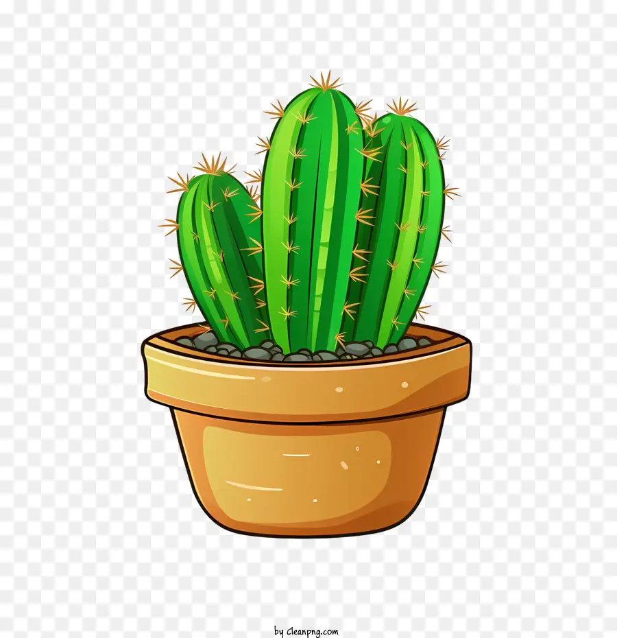 Cactus，Planta PNG