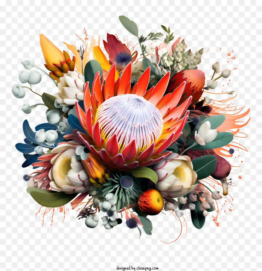 Flor De Protea，Ramo PNG