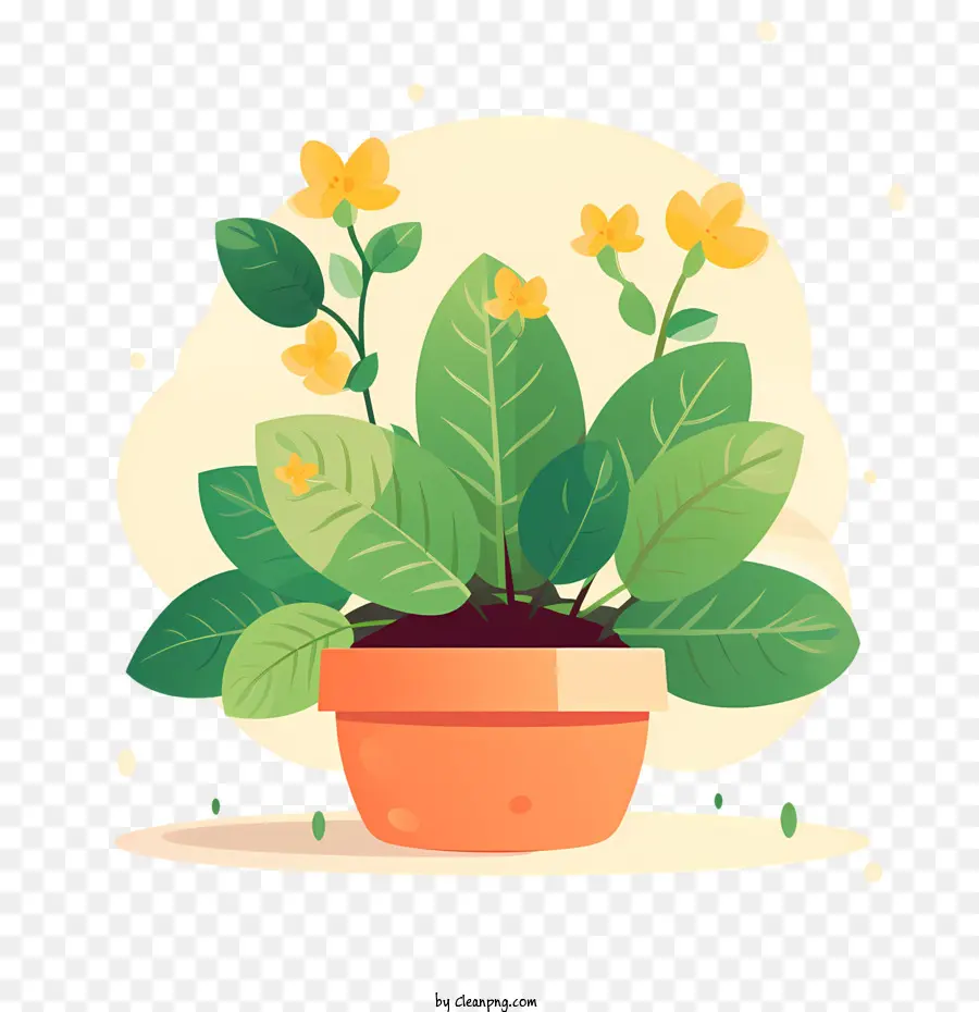 Maceta，Planta En Maceta PNG