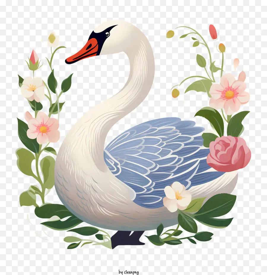 Swan，Blanco PNG